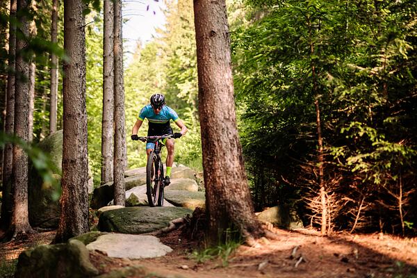 Cyklistický výlet lesem